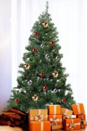 Neel Blue Alpine Artificial Christmas Tree, Pre-lit Tree with Warm Colourful LED in Green - Size: 5ft - thumbnail 6
