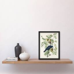 Artery8 John James Audubon Framed Wall Art Print American Crow on Walnut Tree in White - Size: A4 - thumbnail 2