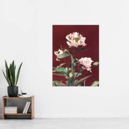 "Artery8 Pink Herbaceous Peony Flower Japan Wall Art Print Ogawa Kazumasa in Red - Size: W12"" x H16""" - thumbnail 4