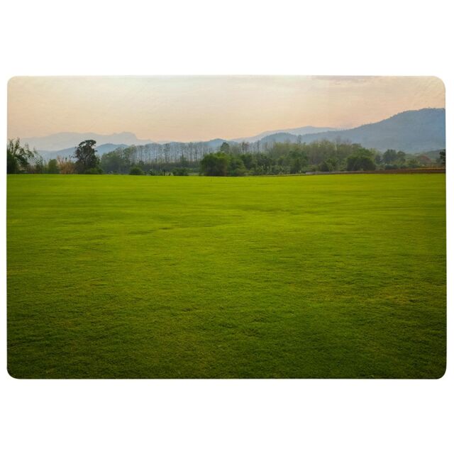 Benjamin Tate Design Image Of Lush Grass Field Designer Rug in Natural - Size: Large - image 1