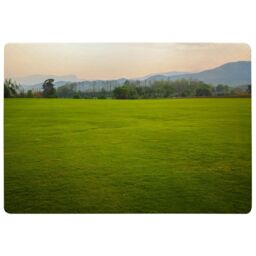 Benjamin Tate Design Image Of Lush Grass Field Designer Rug in Natural - Size: Large - thumbnail 1