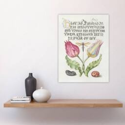 "Artery8 Tulip Ichneumon Wasp & Beans Calligraphy Wall Art Poster Print in White - Size: W18"" x H24""" - thumbnail 4