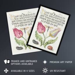 "Artery8 Tulip Ichneumon Wasp & Beans Calligraphy Wall Art Poster Print in White - Size: W18"" x H24""" - thumbnail 2