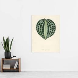 "Artery8 Vintage Botanical Seersucker Plant Leaf Fawcett Wall Art Poster Print in Beige - Size: W24"" x H32""" - thumbnail 4