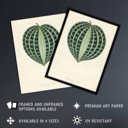 "Artery8 Vintage Botanical Seersucker Plant Leaf Fawcett Wall Art Poster Print in Beige - Size: W24"" x H32""" - thumbnail 2