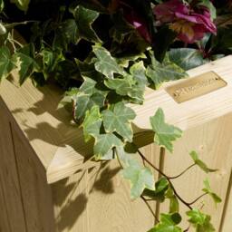 Rowlinsons Signature Heritage Tall Square Planter - Timber - L43 x W43 x H78 cm in Light Brown - thumbnail 2
