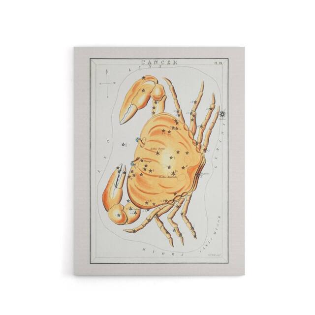 "Artery8 Vintage Cancer Constellation Illustration Hall Canvas Wall Art Print in White - Size: W18"" x H24""" - image 1