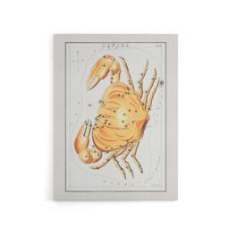 "Artery8 Vintage Cancer Constellation Illustration Hall Canvas Wall Art Print in White - Size: W18"" x H24""" - thumbnail 1