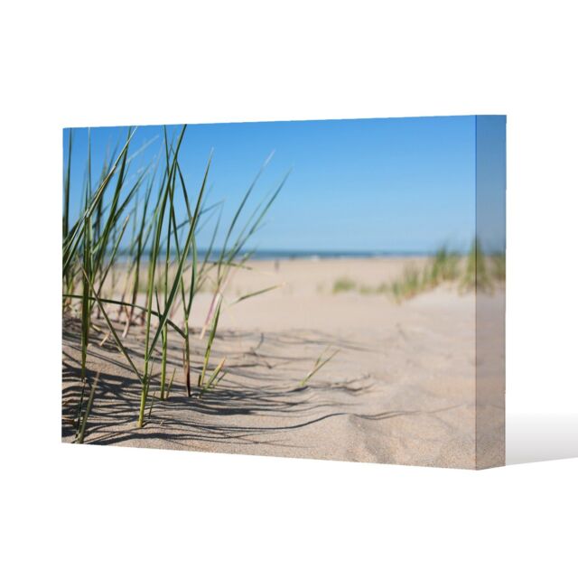 Benjamin Tate Design Grass in the sand dunes with the lake in the background (Canvas Print) / 31 x 41 x 4cm in Natural - Size: 31 x 41 x 4 cm - image 1