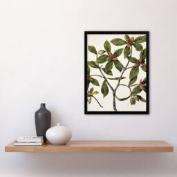 Artery8 New Zealand Tawhiri Karo Plant Artwork Featon Framed Wall Art Print in Beige - Size: A4 - thumbnail 4