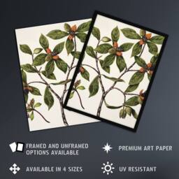 Artery8 New Zealand Tawhiri Karo Plant Artwork Featon Framed Wall Art Print in Beige - Size: A4 - thumbnail 2