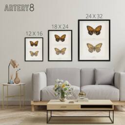 "Artery8 Regal Fritillary Butterfly Sherman Denton Framed Canvas Wall Art Print in White - Size: W12"" x H16""" - thumbnail 4