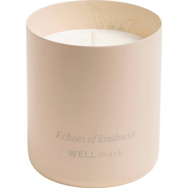 Wellmark Echoes Of Kindness Scented Candle in Ecru - image 1