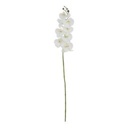 Sostter Tall White Butterfly Orchid Faux Flower Stem in Green - thumbnail 1