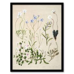 Artery8 New Zealand Perennial Wild Flowers Featon Framed Wall Art Print in Beige - Size: A4 - thumbnail 1