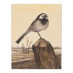 Artery8 Theo van Hoytema Framed Wall Art Print Wagtail Bird Perched on Pole in Brown - Size: A4 - thumbnail 3