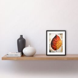 "Artery8 Wall Art Print A Single Amber Orange Autumn Leaf Artwork Framed 9X7 Inch in Black - Size: W7"" x H9""" - thumbnail 2