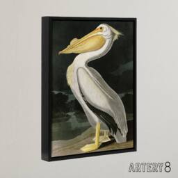 "Artery8 Audubon Birds White Pelican Painting Framed Canvas Wall Art Print - Size: W12"" x H16""" - thumbnail 2