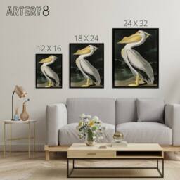 "Artery8 Audubon Birds White Pelican Painting Framed Canvas Wall Art Print - Size: W12"" x H16""" - thumbnail 4