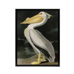 "Artery8 Audubon Birds White Pelican Painting Framed Canvas Wall Art Print - Size: W12"" x H16""" - thumbnail 1