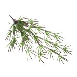 Leaf Pack of 12 x 100cm Artificial Hanging Acer Spider Plant in Green - Size: 12 x 100 cm - thumbnail 5