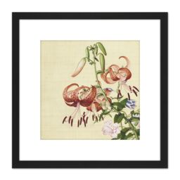 Artery8 Castiglione Lilies Flower Plant Painting 8X8 Inch Square Wooden Framed Wall Art Print Picture with Mount in Black - thumbnail 1