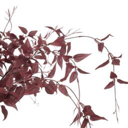 Lemon Pavilion Furniture and Decor Artificial Flower (Single Stem), Plastic, L52 x W52 x H88 cm, Burgundy - thumbnail 6