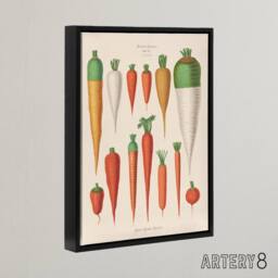 "Artery8 Carrots Vegetables Kitchen Ernst Benary Framed Canvas Wall Art Print in White - Size: W12"" x H16""" - thumbnail 2