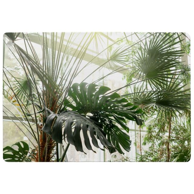 Benjamin Tate Design Green Plants In Botanical Garde Designer Rug in Natural - Size: Large - image 1
