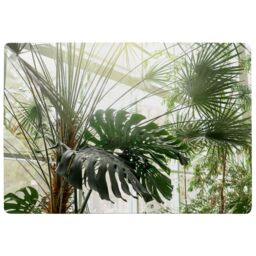 Benjamin Tate Design Green Plants In Botanical Garde Designer Rug in Natural - Size: Large - thumbnail 1
