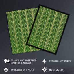 Artery8 Vintage Japanese Botanical Pattern Vintage Framed Wall Art Print Korin in Green - Size: A4 - thumbnail 2