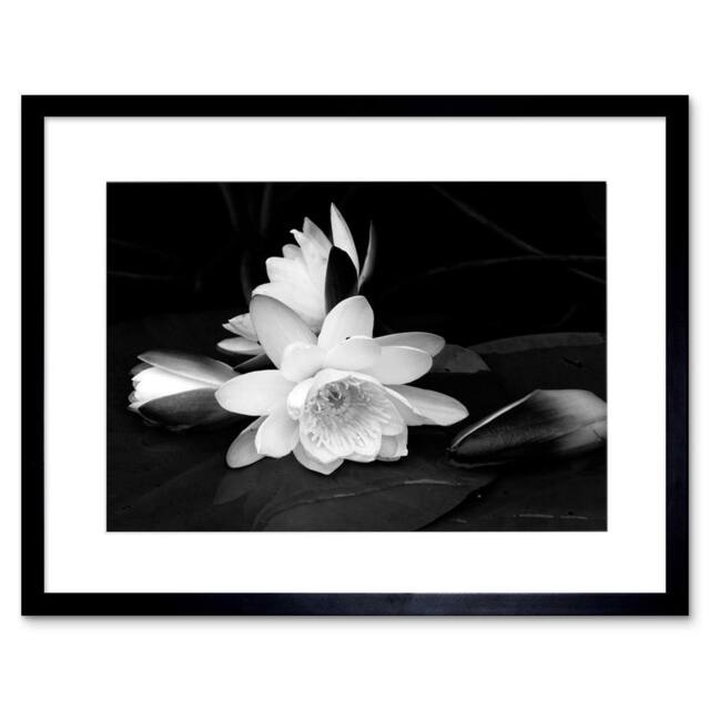 "Artery8 White Lotus Flower Bloom Black Photo Home Decor 12x16"" Framed Art - Size: W12"" x H16""" - image 1