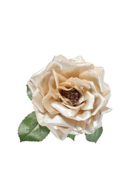 KDMD Champagne Rose Plush with Clip Dia18cm in Cream - image 1