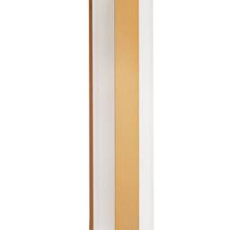 Wyld and Coco Outdoor LED Wall Light Gold 30cm Steel and Acrylic Modern - thumbnail 2
