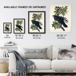 "Artery8 Birds of America Raven Audubon Nature Wall Art Print Poster in White - Size: W12"" x H16""" - thumbnail 3