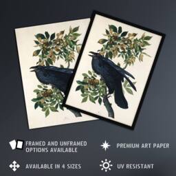 "Artery8 Birds of America Raven Audubon Nature Wall Art Print Poster in White - Size: W12"" x H16""" - thumbnail 2