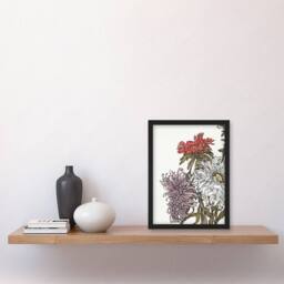 Artery8 Chrysanthemums Flower Painting Vintage Framed Wall Art Print Graag in White - Size: A4 - thumbnail 4