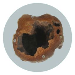 Berkfield Home Coffee Table Teak Glass 50x40 cm in Brown - thumbnail 6
