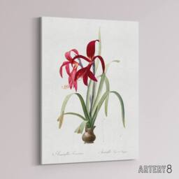"Artery8 Aztec Lily Botanical Redoute Vintage Canvas Wall Art in White - Size: W18"" x H24""" - thumbnail 2
