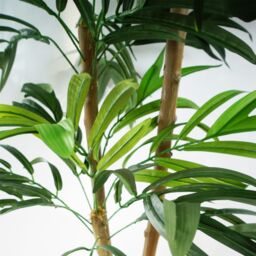 Leaf 140cm UV Resistant Artificial Mango Tree in Green - thumbnail 4