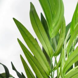 Leaf 140cm UV Resistant Artificial Mango Tree in Green - thumbnail 3