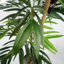 Leaf 140cm UV Resistant Artificial Mango Tree in Green - thumbnail 2