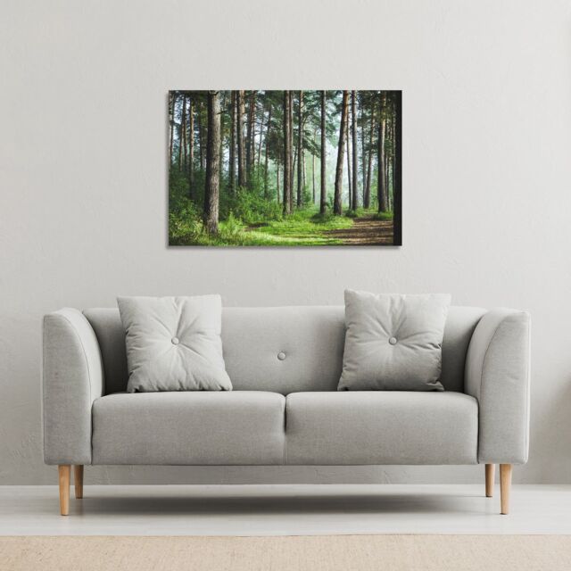 Benjamin Tate Design Beautiful summer forest with different trees (Canvas Print) / 61 x 91 x 4cm in Natural - Size: 61 x 91 x 4 cm - image 1
