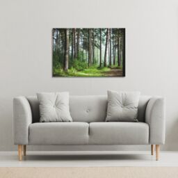 Benjamin Tate Design Beautiful summer forest with different trees (Canvas Print) / 61 x 91 x 4cm in Natural - Size: 61 x 91 x 4 cm - thumbnail 1