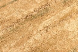RugsX Wool Omega Rug in Yellow - Size: 135 cm x 200 cm - thumbnail 5