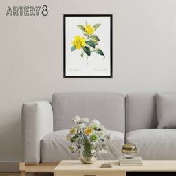 "Artery8 Golden Guinea Vine Flowers Redoute Black Framed Canvas Wall Art in White - Size: W24"" x H32""" - thumbnail 3