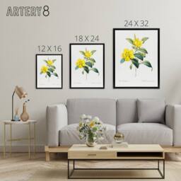 "Artery8 Golden Guinea Vine Flowers Redoute Black Framed Canvas Wall Art in White - Size: W24"" x H32""" - thumbnail 4
