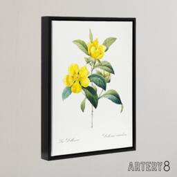 "Artery8 Golden Guinea Vine Flowers Redoute Black Framed Canvas Wall Art in White - Size: W24"" x H32""" - thumbnail 2