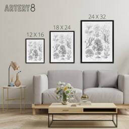 "Artery8 Algae Seaweed Species Haeckel Botanical Black Framed Canvas Wall Art in White - Size: W12"" x H16""" - thumbnail 4