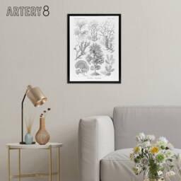 "Artery8 Algae Seaweed Species Haeckel Botanical Black Framed Canvas Wall Art in White - Size: W12"" x H16""" - thumbnail 3